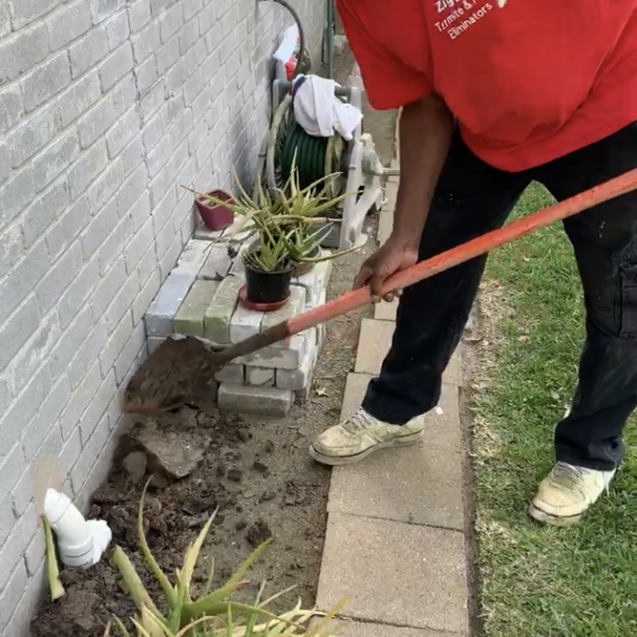 Subterranean Termite Treatment