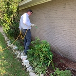 Exterior home spray