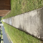 Lawn maintenance