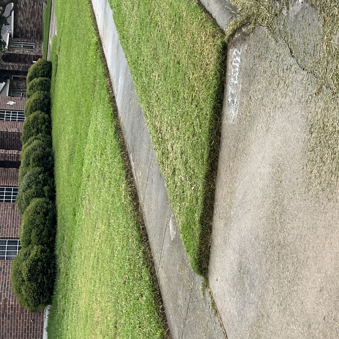 Lawn maintenance
