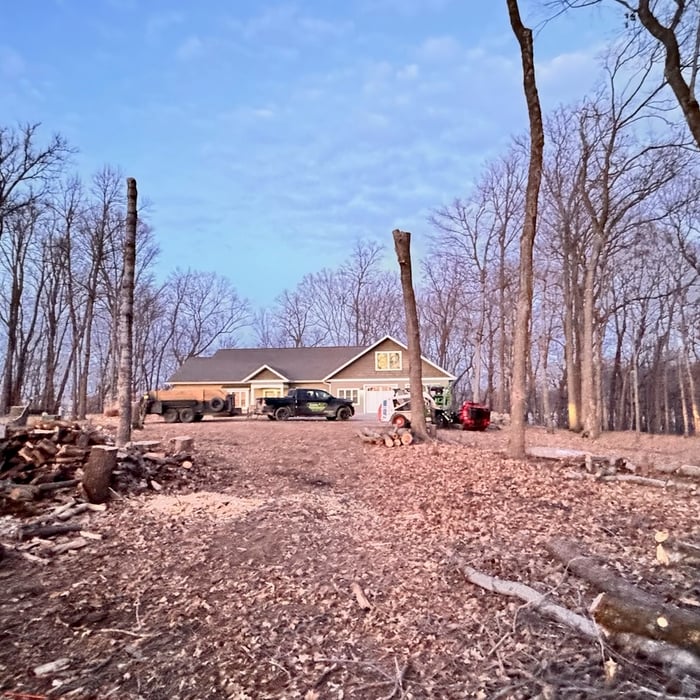 Land Clearing