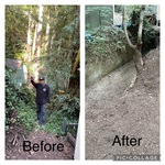 Brush removal