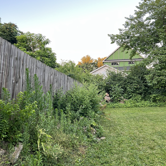Retaining Wall Renovation.