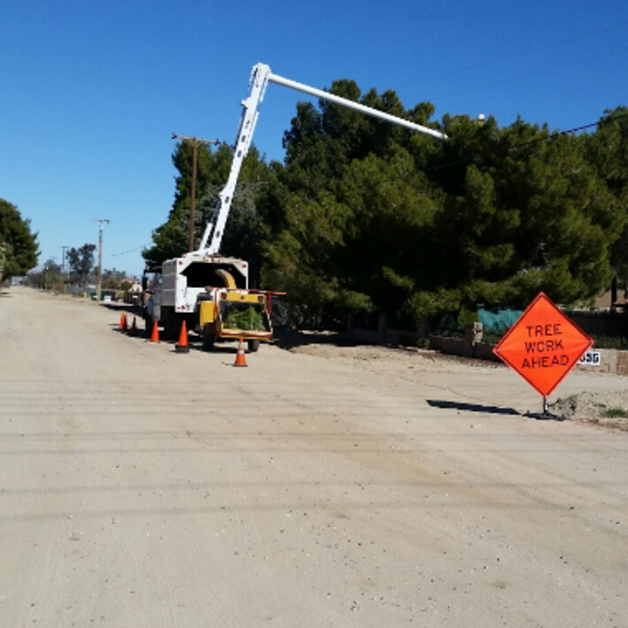 Tree Removal.
