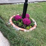 Mail Box Bed