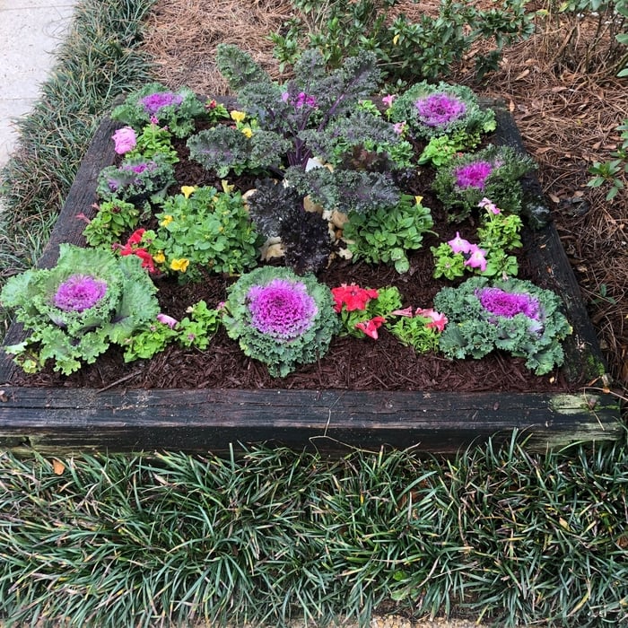 Driveway Bed