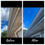 Gutter Cleaning