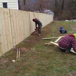 Privacy Fence