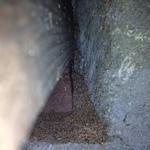 Termite droppings found in a subarea.