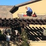 Exclusion Repairs for Rodent Infesatation