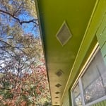 Rodent trapping,exclusion