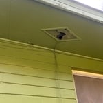 Rodent trapping,exclusion