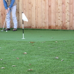 Putting Green