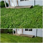 My work