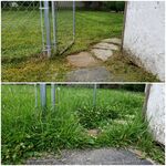 My work