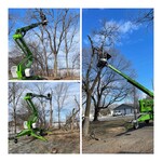 Tree Removal