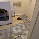 remodel