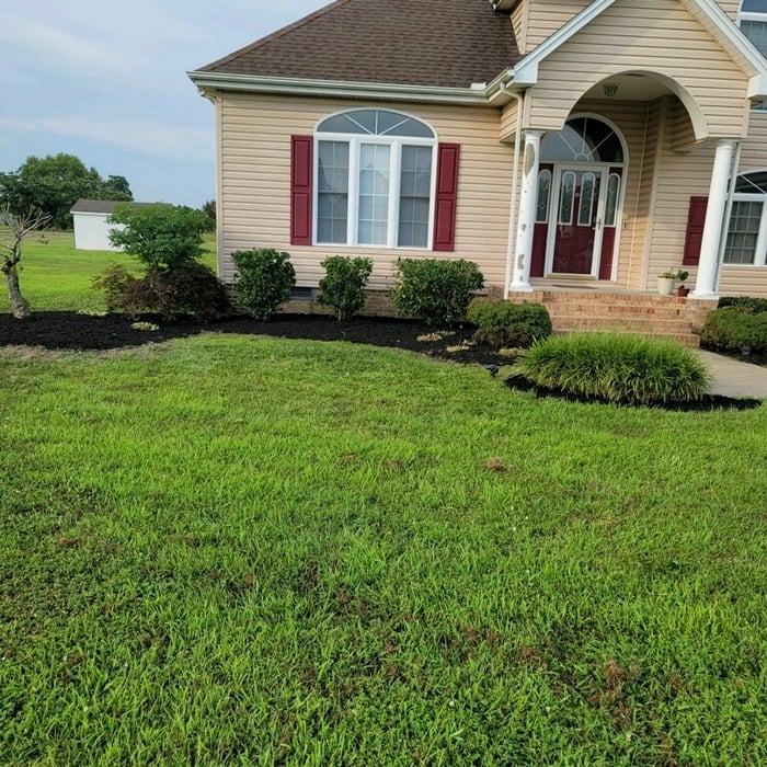 Lawn care
