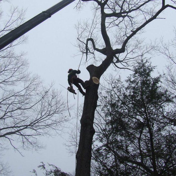 Climber working with crane