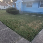 Front yard cut and trim