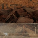 Mulching y rock's