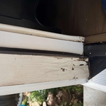 Dry rot repair