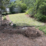 Sod Installation