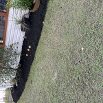 Mulch Installation