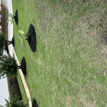 Mulch Installation