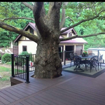 Trex Deck Penfield