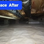 Crawlspace After
