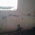 Termites in foam board
