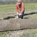 Travis cutting our logs