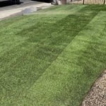 Lawn Maintenance
