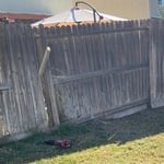 Fence Replacement || Before