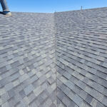 Roof 1