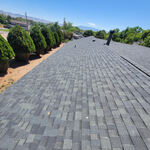 Roof 4