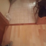 Floor Remodels