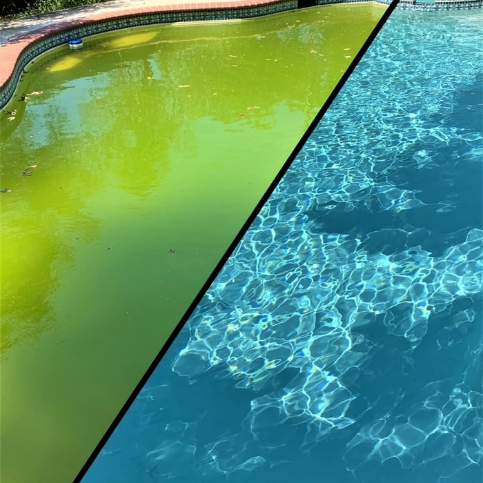 Green Pool Cleaned