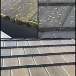 Roof soft wash