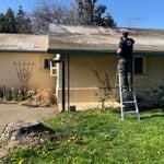 Roof soft wash