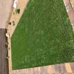 Turf and Pavers