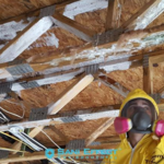Treating Mold to deactivate live spores.
