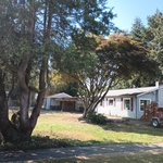 Side yard