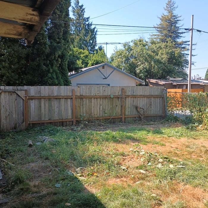Backyard kiwi trim