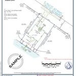Surveyors