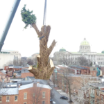 Lifting a Trunk Section