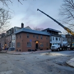 Crane Reaching the Trunk