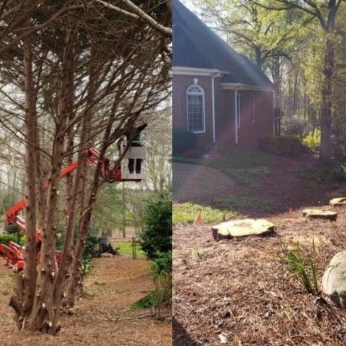 Yard/excavation