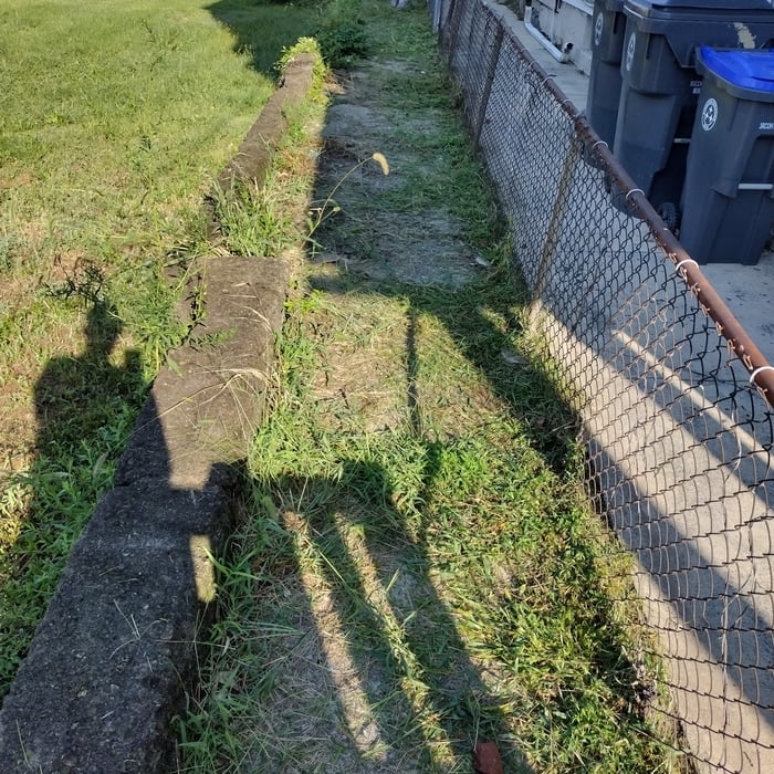 Other side of the fence
